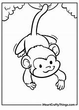 Cute Monkey Printable Coloring Pages sketch template