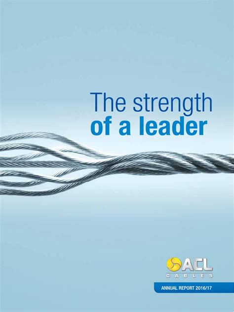 ACL Cables Annual Report 2016-17 | Corporate Social Responsibility ...