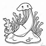 Seaweed Coloring Page 24642 19459 sketch template