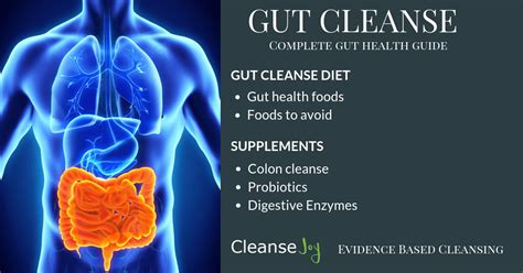 Gut Cleanse : The Complete Digestive & Gut Health Plan