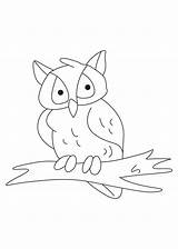 Owl At night coloring Page  Download Free sketch template