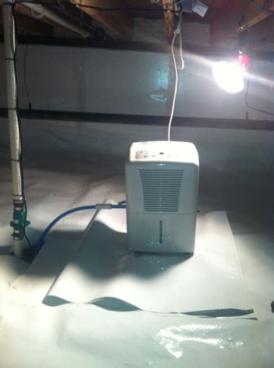 dehumidifier_prevents_mold - Envirocare Pest Control