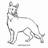 Shepherd German Coloring Pages Dog Drawing Line Shepard Print Drawings  sketch template