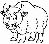 Yak Coloring Pages sketch template
