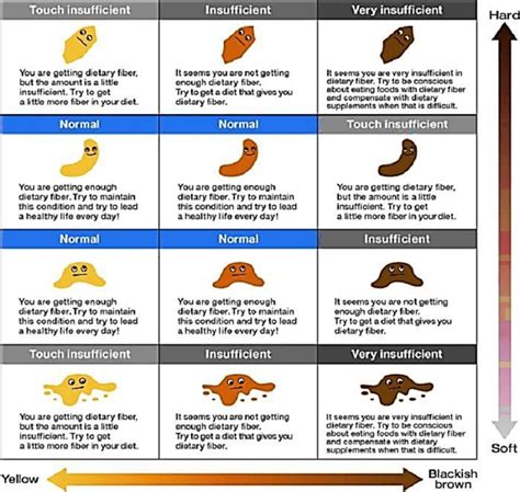 12+ Free Printable Stool Color Charts