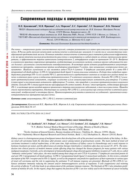 (PDF) Modern approaches to kidney cancer immunotherapy