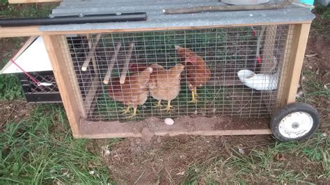 Backyard Chicken Pen Plans (holds 3 birds) - Sunnyside Farm