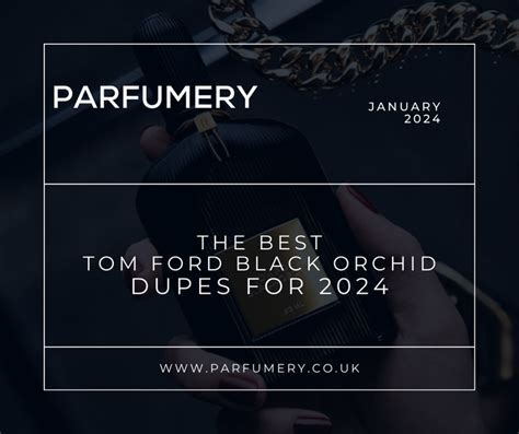 The Best Tom Ford Black Orchid Dupe & Alternatives (2024)– Parfumery LTD