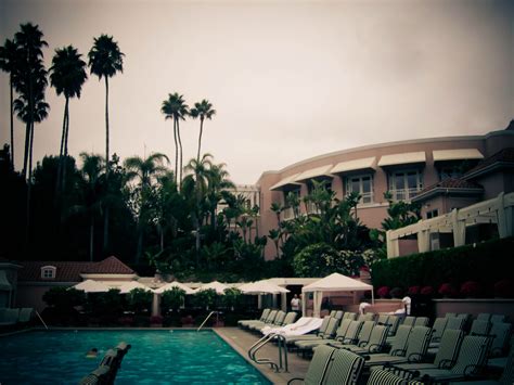 Poolside - Beverly Hills Hotel | Los angeles history, Beverly hills ...