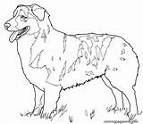 39 German Shepherd Coloring Pages  ColoringPagesOnlycom sketch template