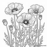 Poppy Coloring Pages  Free & Printable In 2024 coloring Page sketch template