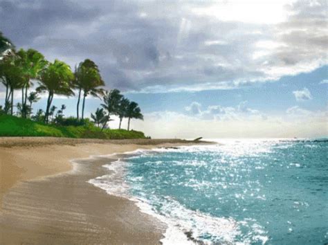 Zoom Beach Background Gif, Zoom Background Beach Download, On the desktop app, navigate to ...
