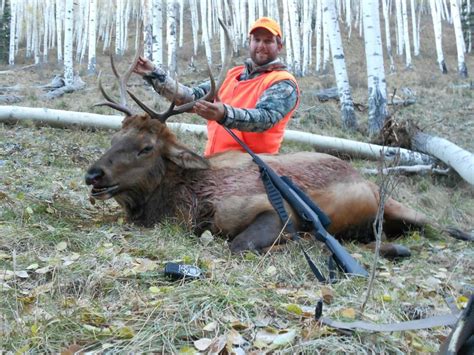 Colorado Elk Camp Outfitters » Blog Archive » IMG_0286