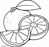 Orange Coloring Pages 13 Free Printables  ColoringAll sketch template
