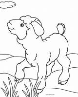 Free Printable Sheep Face Coloring Pages For Kids  Cool2bKids sketch template