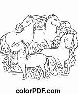 Herd Of Horses – Coloring Pages And Books In PDF sketch template