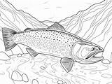 Underwater Lake Trout Coloring Adventure  Page sketch template