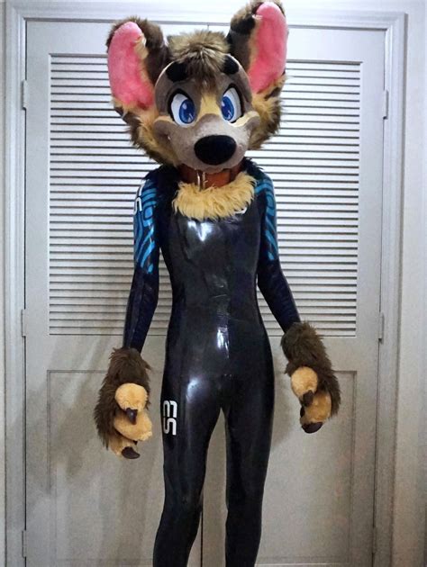 Latex Dog Suit – Telegraph