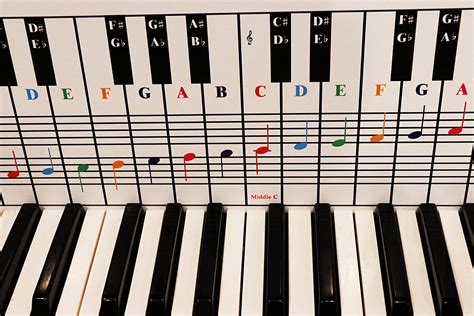 Piano and Keyboard Note Chart Behind the Keys : Amazon.in: Musical Instruments
