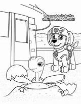 Paw Patrol Zuma Coloring Page sketch template