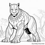 Black Panther Animal Coloring Pages  Free & Printable sketch template