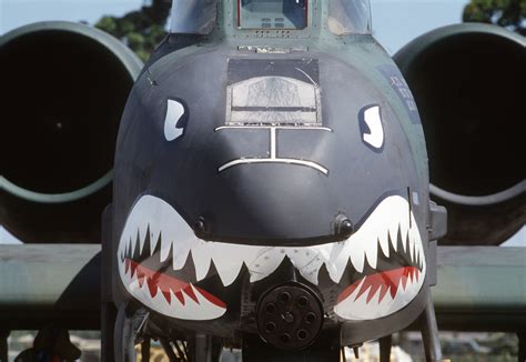 Edit free photo of Shark face,aircraft,a10 thunderbolt ii,plane,airplane - needpix.com