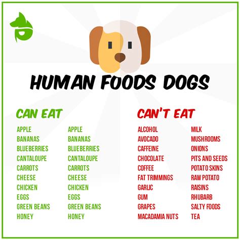 People Food Dogs Cant Eat | ppgbbe.intranet.biologia.ufrj.br