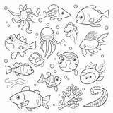 Underwater Animals Coloring Pages Under Sea Cartoon Line Drawing  sketch template