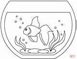 Coloring Pages Aquarium sketch template