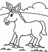 Burro Animada Para Colorear sketch template