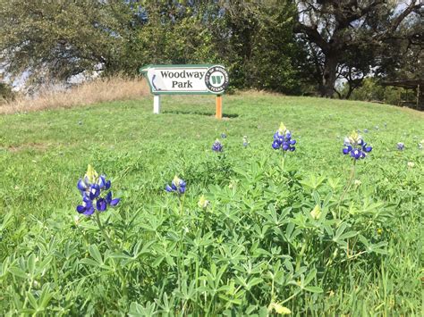 New Trail Section in Woodway Park - Waco Bicycle Club