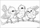 Cute Bird Coloring Pages sketch template