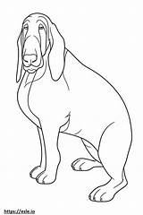 Basset Hound Amigável Para Colorir sketch template