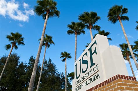 Why USF Tuition Could Decrease Next Year | WUSF News