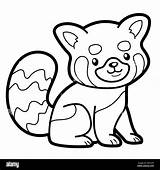 Red Panda Coloring Pages sketch template