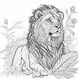 Lion Coloring Pages Google Search  Vrogueco sketch template