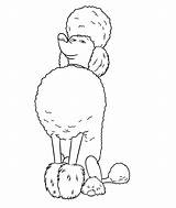 52 The Secret Life Of Pets Coloring Pages  ColoringPagesOnlycom sketch template