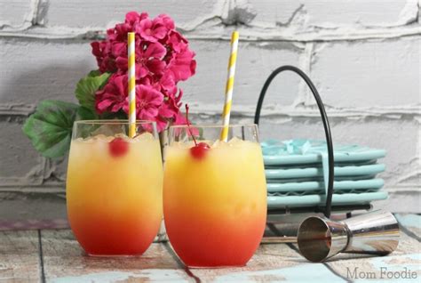 Summer Breeze Cocktail Recipe - Mom Foodie