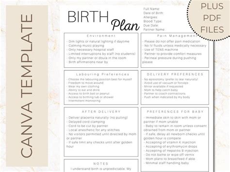 Editable Birth Plan Template Simple Printable Birthing Plan - Etsy Stationery Design, Stationery ...