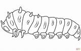 Caterpillar Coloring Pages sketch template