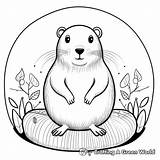Gopher Coloring Pages  Free & Printable sketch template