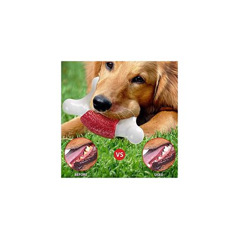 Chew Toys for Large Dogs - Buy Online