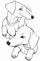 Dachshund Coloring Page For Kids  Home sketch template