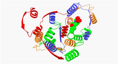 3d animation enzymes model