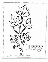Ivy Coloring Pages Printable sketch template
