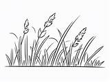Grass Coloring For Kids  Page sketch template