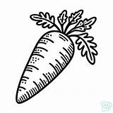 51 Carrots Coloring Pages  Print Free PDF sketch template