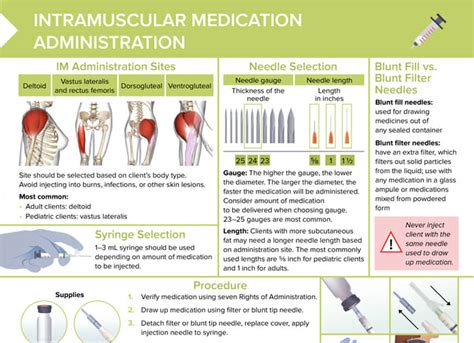 PDF] Using Ventrogluteal Site In Intramuscular Injections, 51% OFF