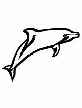 Free Dolphin Coloring Pages & coloring Book sketch template