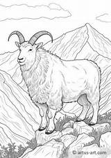 Mountain Goat Coloring Page » Free Download Artus Art sketch template